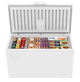 60 in. Commercial Chest Freezer 16 Cu ft.